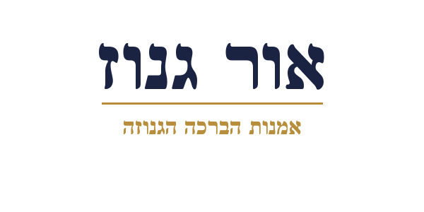 אור גנוז